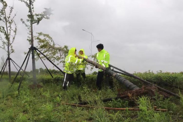 今天台风最新消息视频，台风动态与应对措施