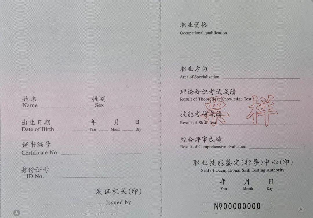 最新国家职业资格证书，引领职业发展的新时代航标