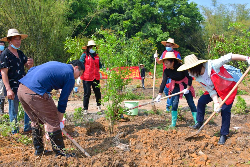 南宁市江南区最新招聘动态及其影响