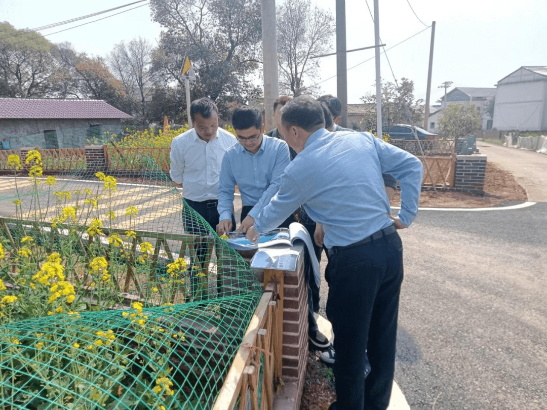 新建区石岗镇最新消息概览