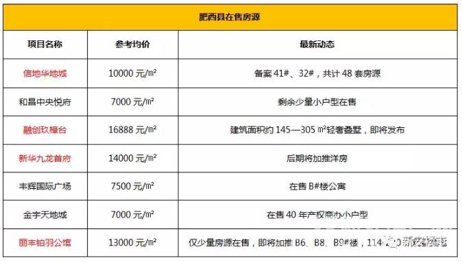 新华九龙首府最新消息深度解析