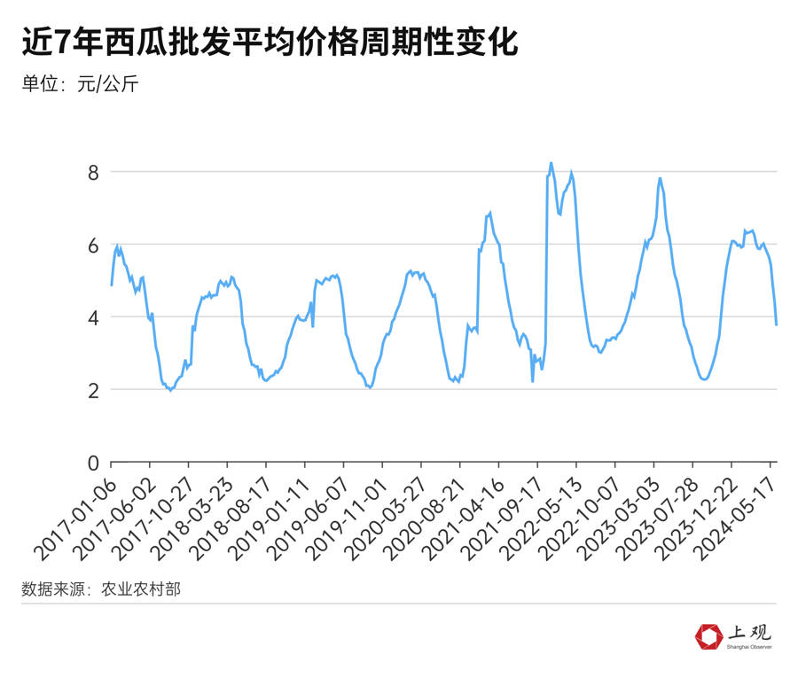 今日西瓜最新批发价格及市场动态分析